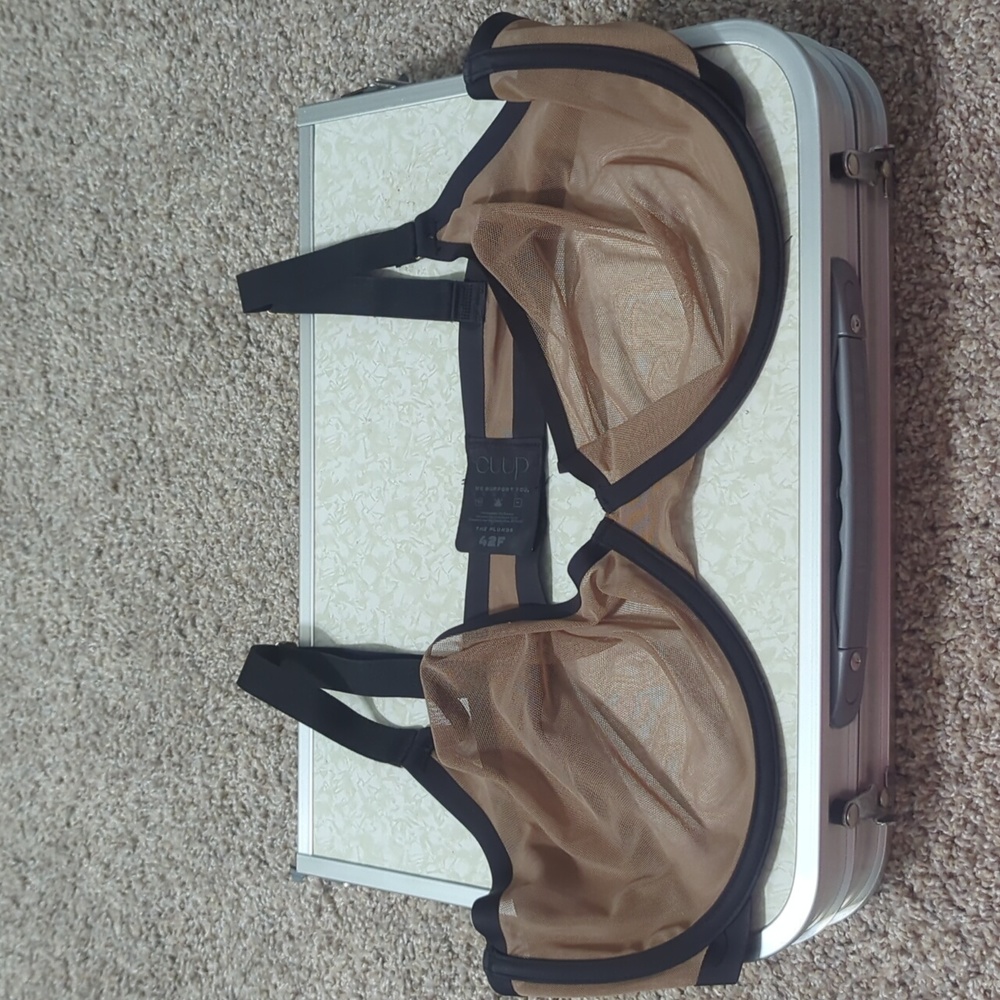 Nude With Black Outline Sheer Cup Bra